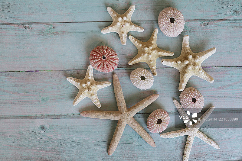 贝壳与海星背景，留白区域图片素材