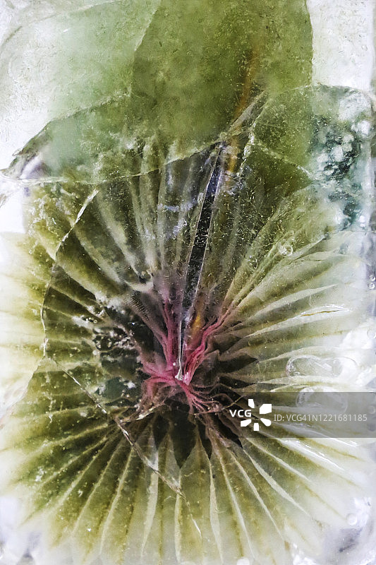 冰冻的纸风车图片素材