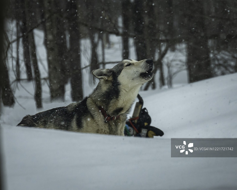 唱着他人民的歌图片素材