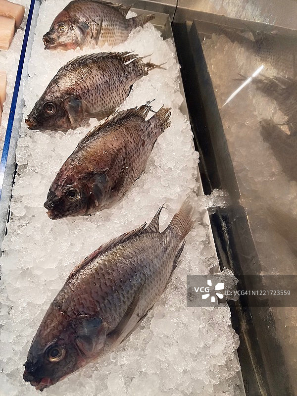 罗非鱼展示图片素材