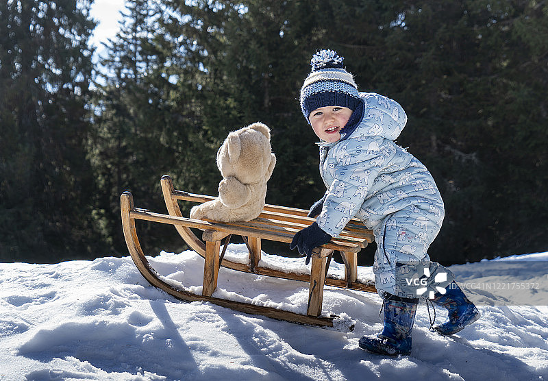 男婴推着带泰迪熊的雪橇图片素材