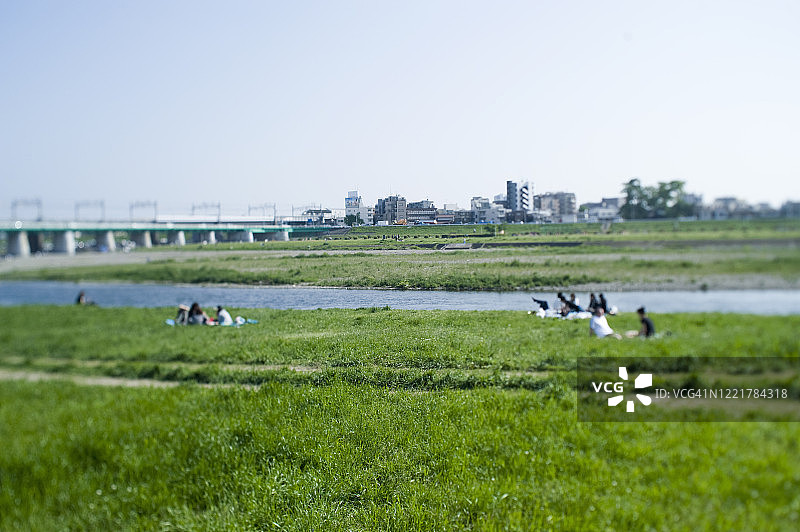 多摩川河床草坪图片素材