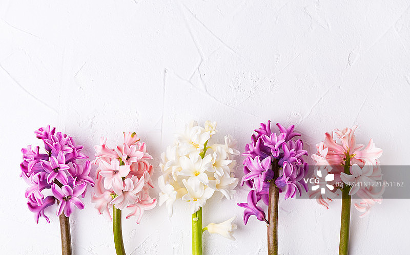 白色木质背景风信子节日贺卡图片素材