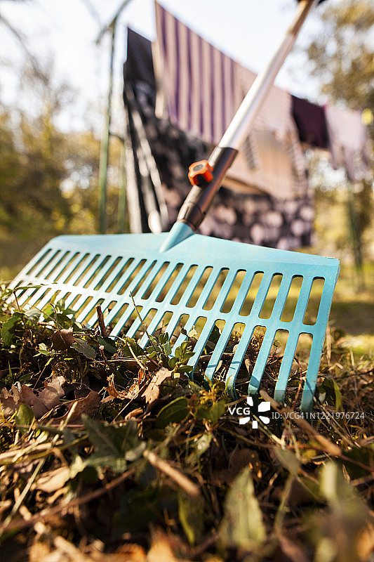 园艺：耙树叶图片素材