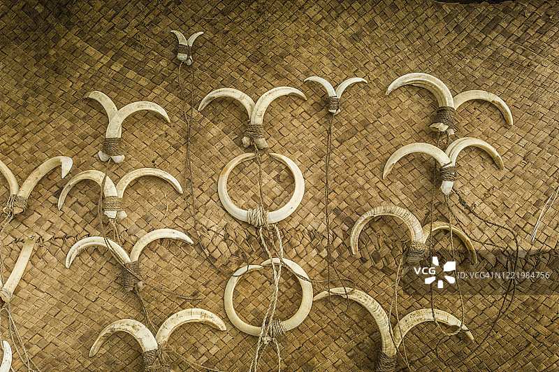 当地市场出售的流浪动物的牙齿，瓦努阿图塔纳岛雅克尔村图片素材