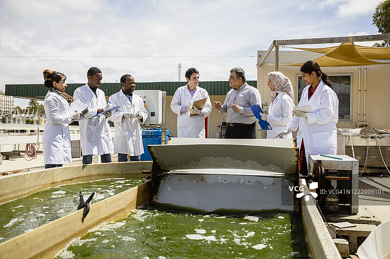 讨论他们的实验图片素材