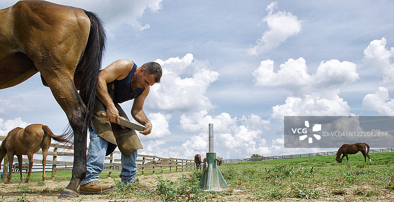 三十多岁的男铁匠在农场用锉刀锉棕色马的蹄子图片素材