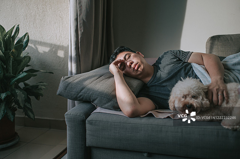 在客厅沙发上休息的亚洲中年男子与宠物贵宾犬图片素材