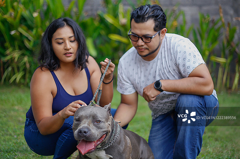 准备好牵着皮带遛狗图片素材