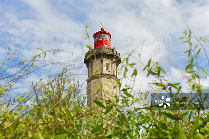 法国雷岛鲸鱼灯塔图片素材