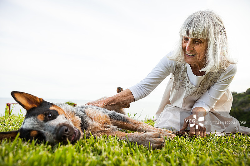 年长的女人和她的狗图片素材