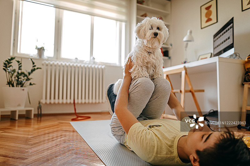 男孩在家和马尔济斯犬一起锻炼图片素材