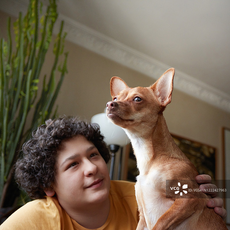 男孩和他的吉娃娃图片素材