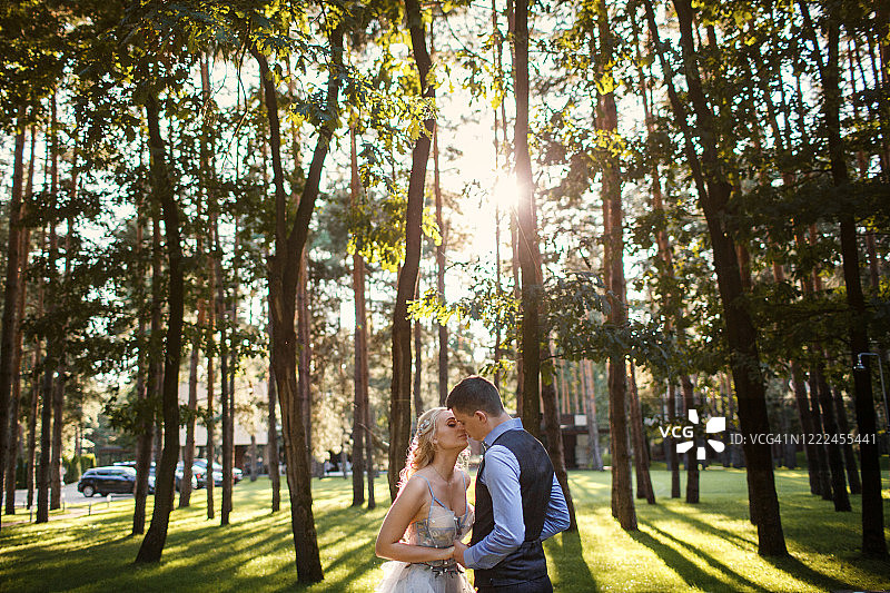 在树林中亲吻的新娘和新郎图片素材