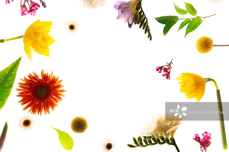 春季鲜花边框图片素材