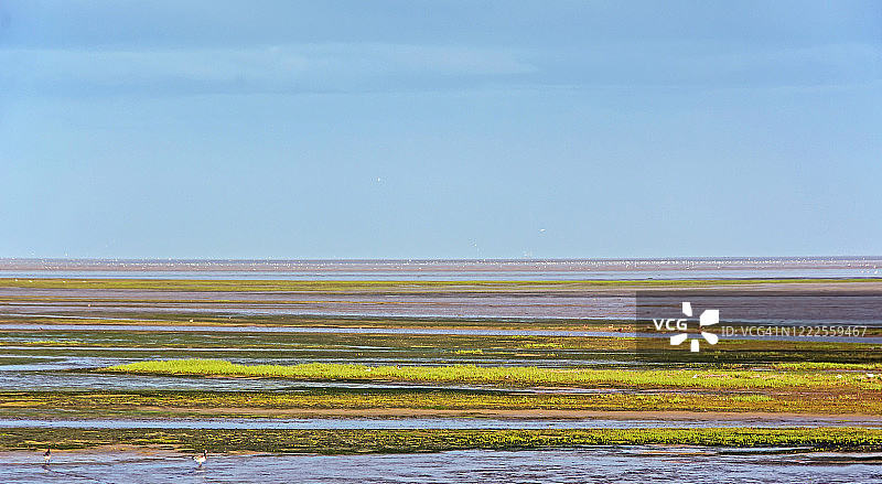 带植物的彩色线条结构图片素材