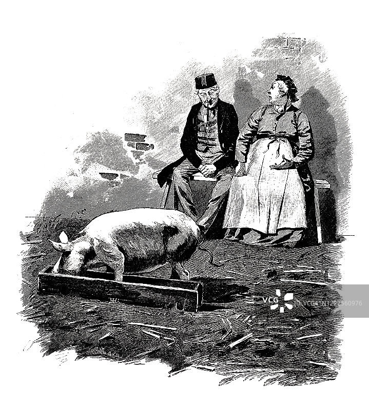 农民和猪图片素材