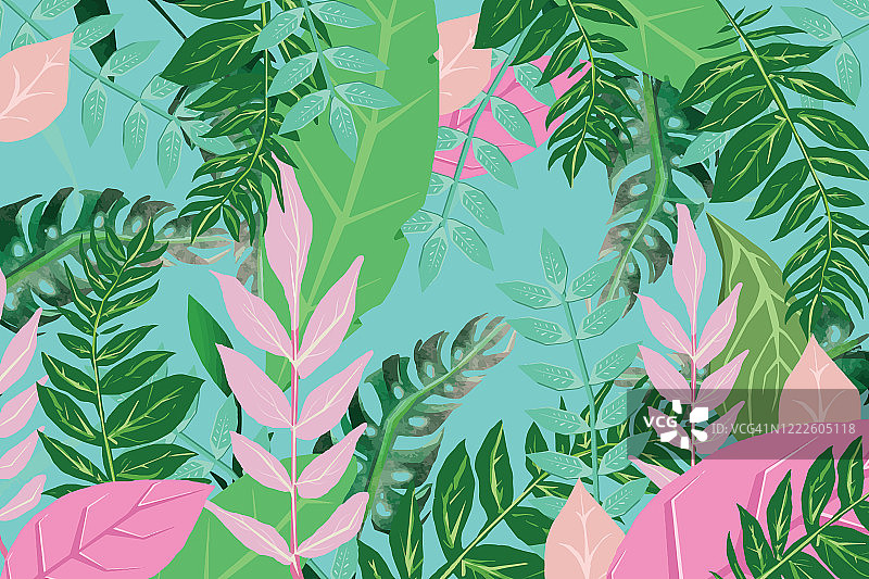 热带花卉背景图片素材