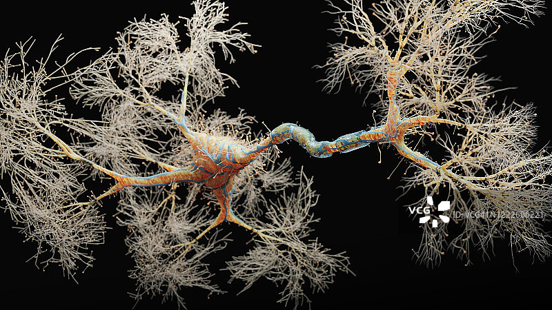 神经元细胞特写图片素材