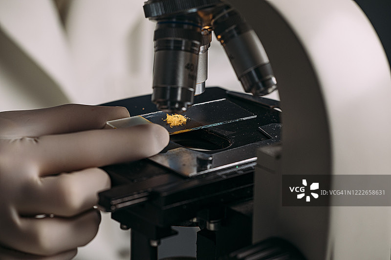实验室技术员用显微镜检查样本的特写图片素材