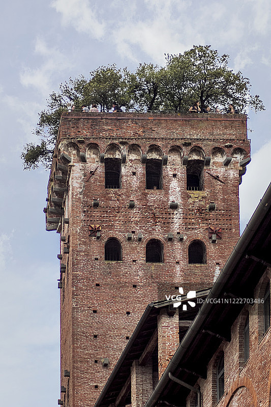 吉尼基塔图片素材