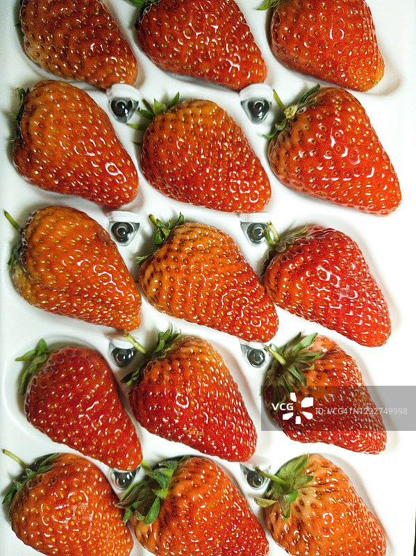 按顺序排列的草莓图片素材