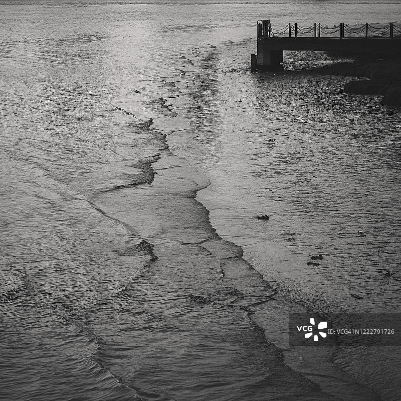 海浪、堤坝和水禽图片素材