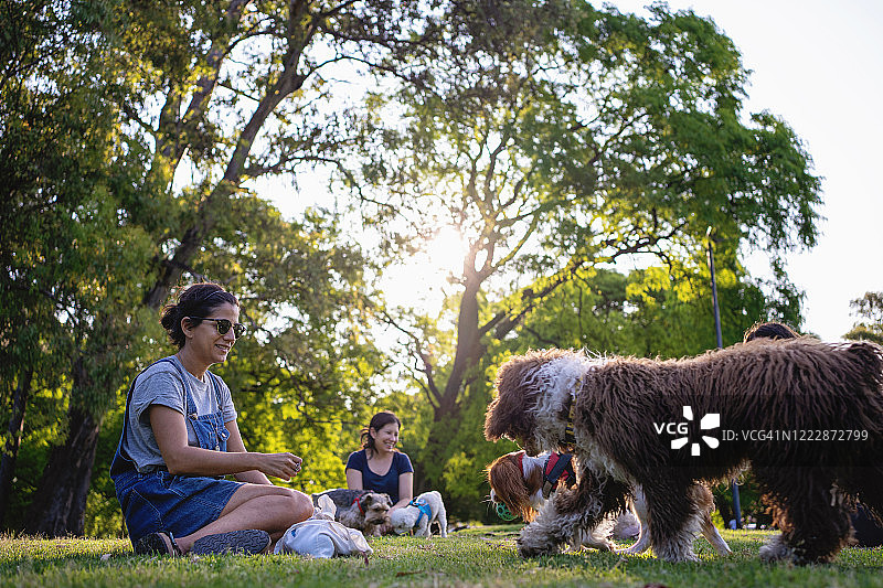 成为宠物主人是一种幸福图片素材