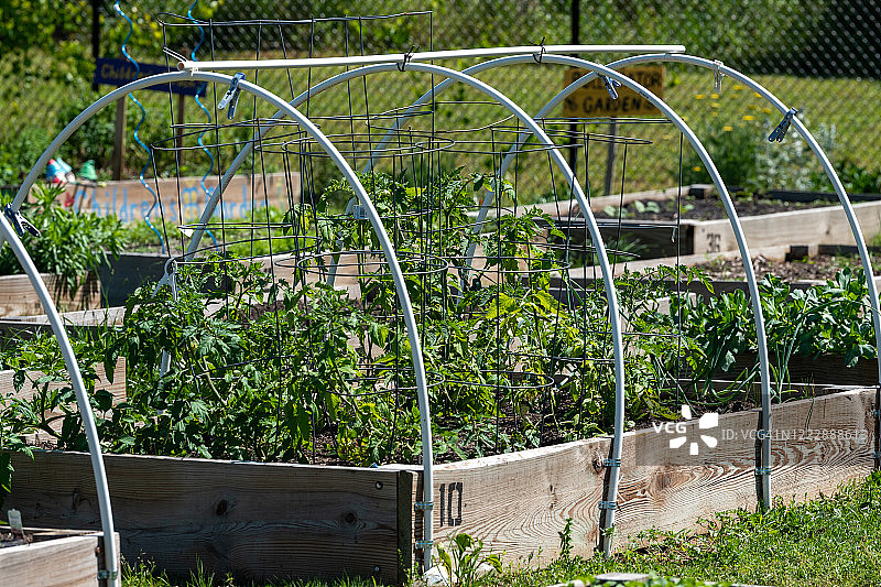 社区花园图片素材