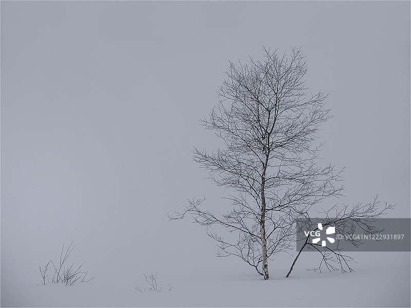 挪威特罗姆斯郡斯科格峡湾瓦特恩湖的冬日雪景与柔和光线图片素材