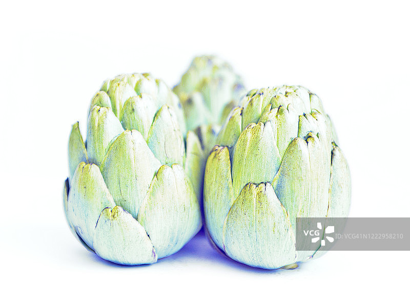 朝鲜蓟图片素材