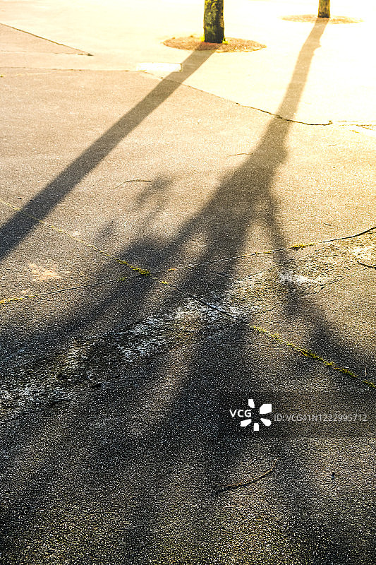 沥青路面上的树影图片素材