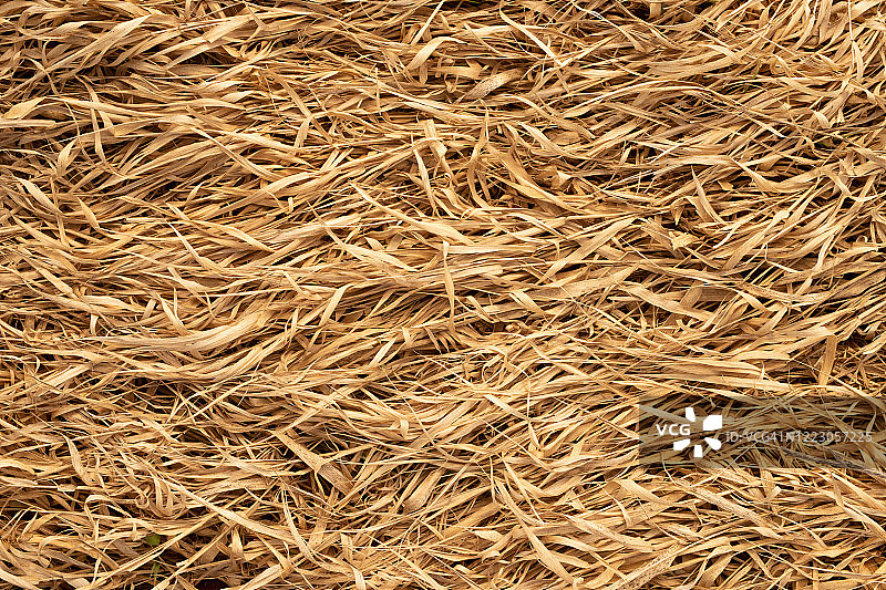 淡黄色干稻草纹理背景图片素材