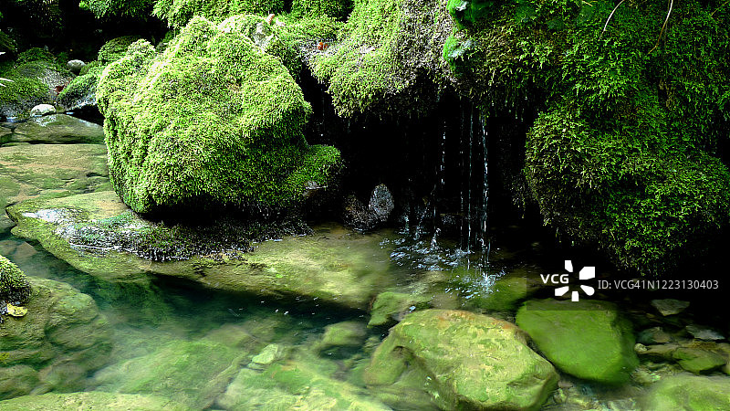 长满苔藓的岩石图片素材