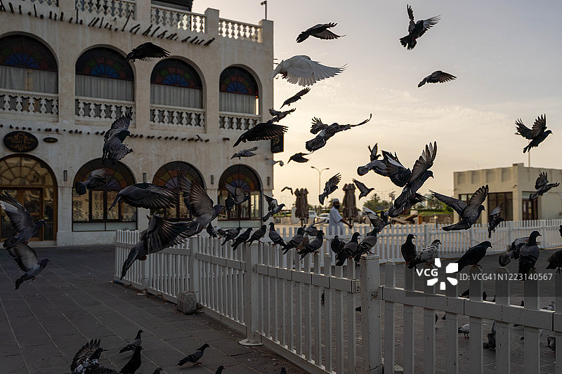 空旷的瓦其夫老市场中的鸽子图片素材