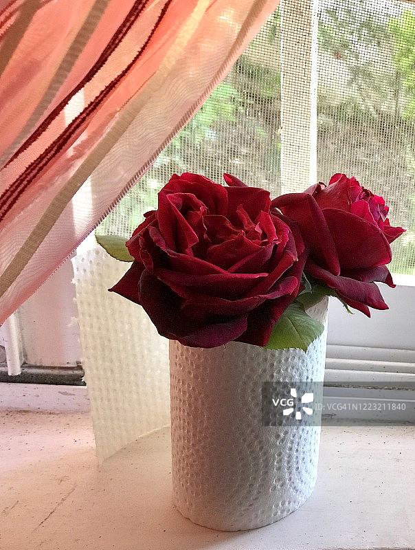 卫生纸里的花朵图片素材