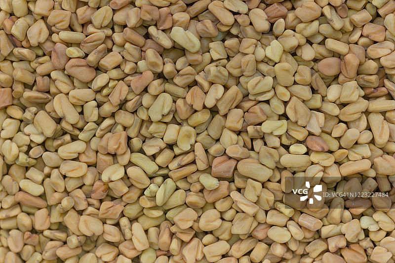 胡芦巴籽特写图片素材