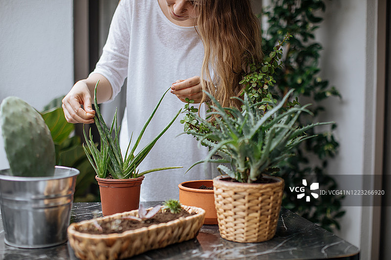 可爱的家庭主妇在花盆和园艺设置花图片素材