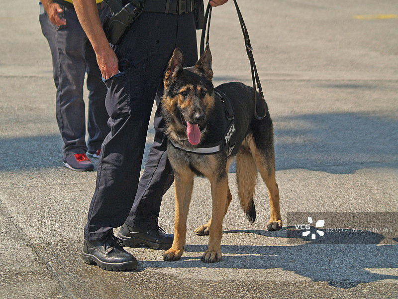 警犬图片素材