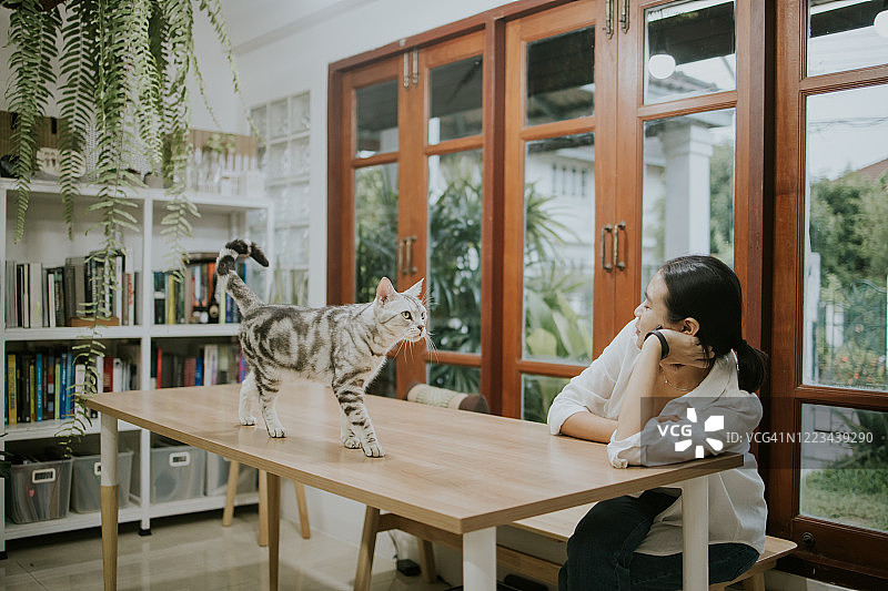在家的泰国自由职业者和她的猫图片素材
