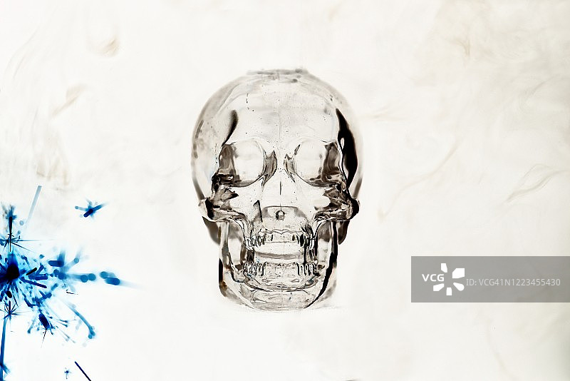 人类头骨插画图片素材