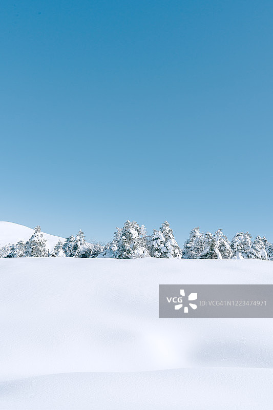 韩国济州岛汉拿山冬季景观图片素材
