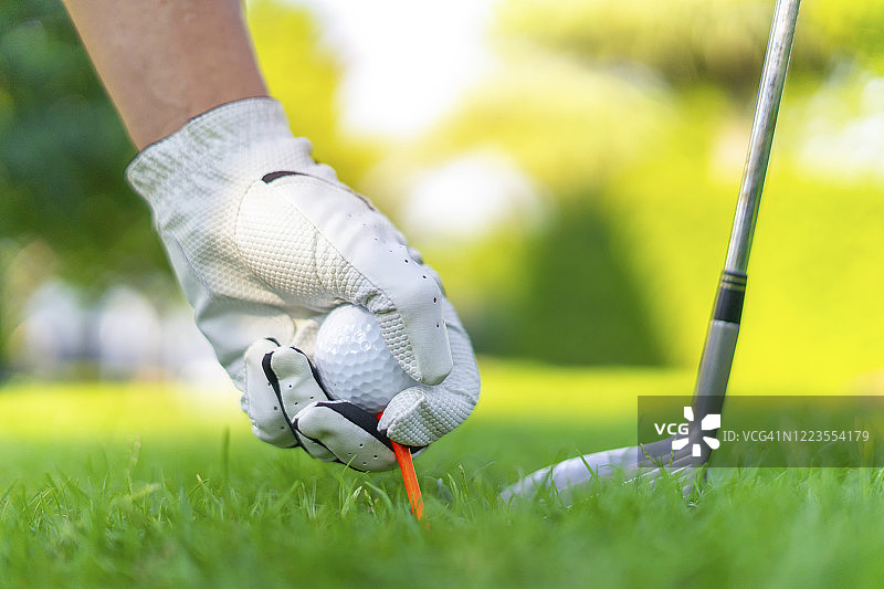 绿茵草地上准备击打的高尔夫球图片素材