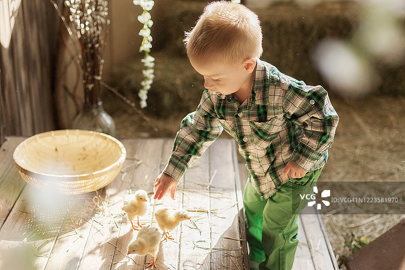 和兔子、小鸭、小鸡玩耍的儿童图片素材