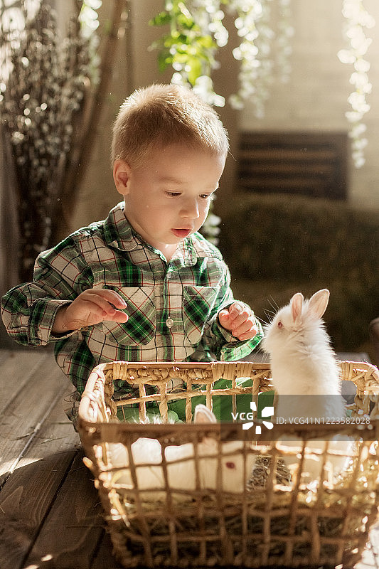 和兔子、小鸭、小鸡玩耍的儿童图片素材