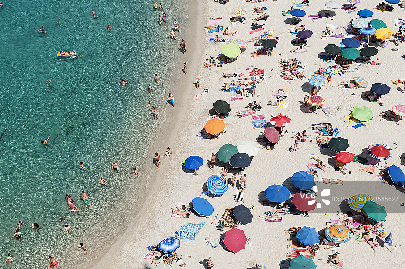 海滩的生活图片素材