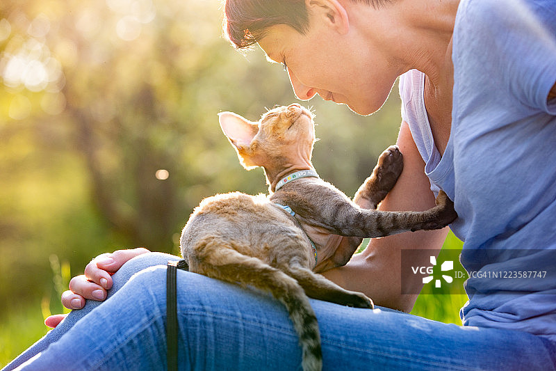 中年妇女与德文卷毛猫在户外享受阳光的库存照片图片素材