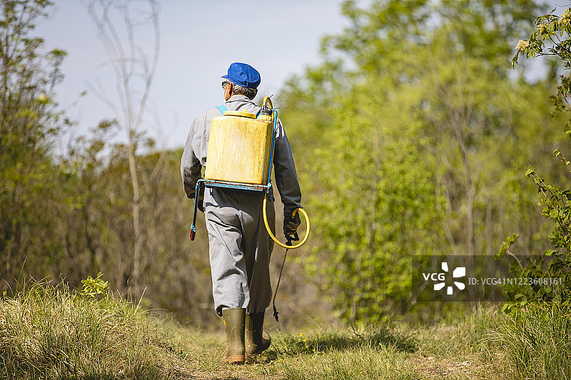 农民行走在乡村田埂上（配备农作物喷雾器）图片素材