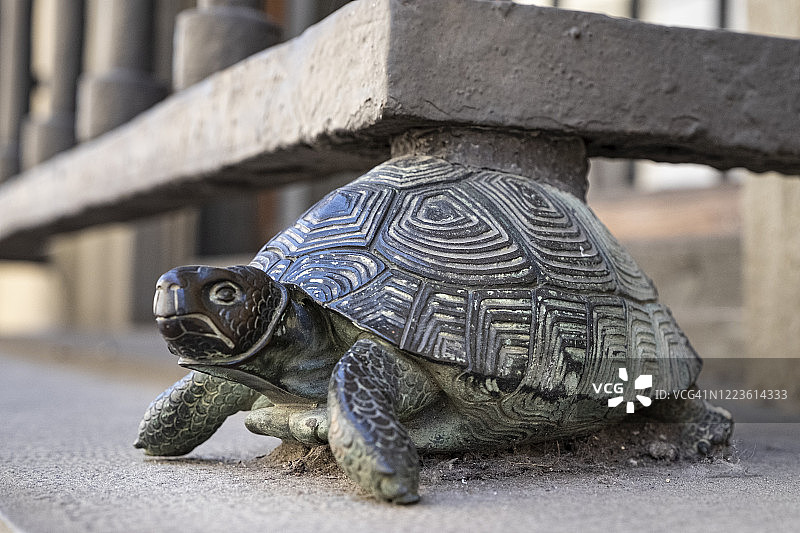 青铜龟雕塑图片素材