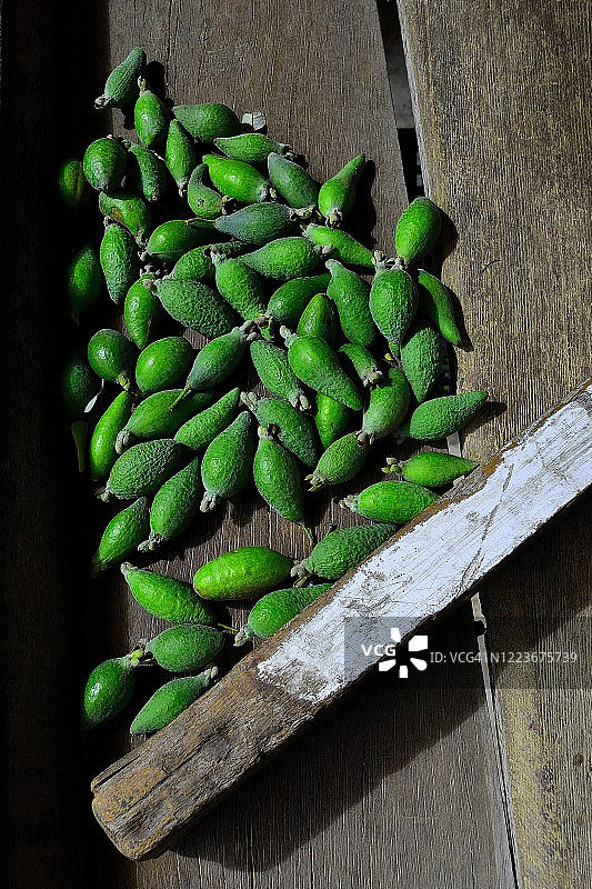 博亚卡图片素材